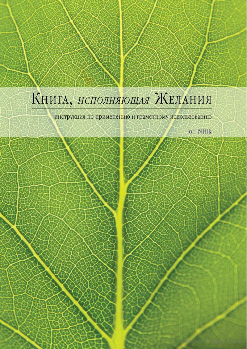 Книга исполняющая желания. Степанова книга исполнения желаний. Книга желание читать. Книга как исполнить.